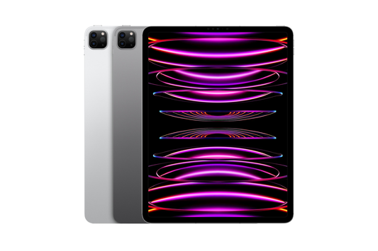 iPad Pro 11" 4e génération Wifi + cellulaire