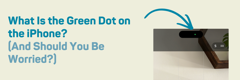 What Is the Green Dot on the iPhone? (And Should You Be Worried?) – Orchard