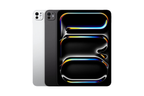 iPad Pro 11" 5th Gen Wifi-Only